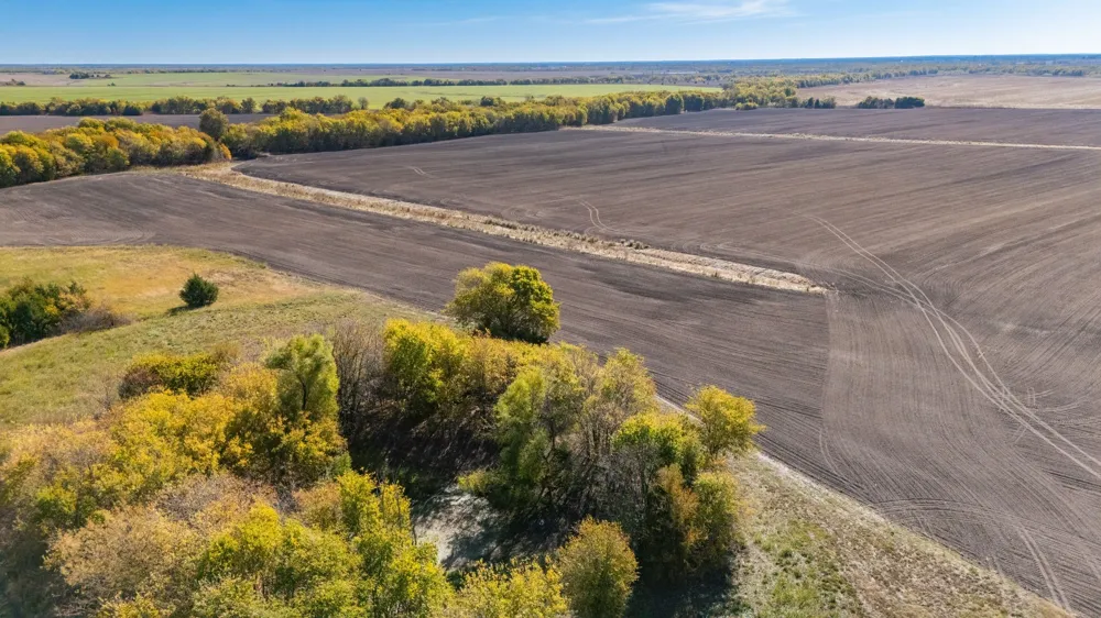 CR 3140 Pecan Gap, TX 75469