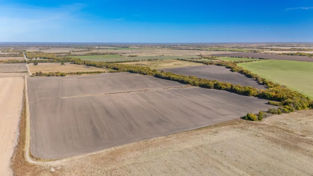 CR 3140 Pecan Gap, TX 75469