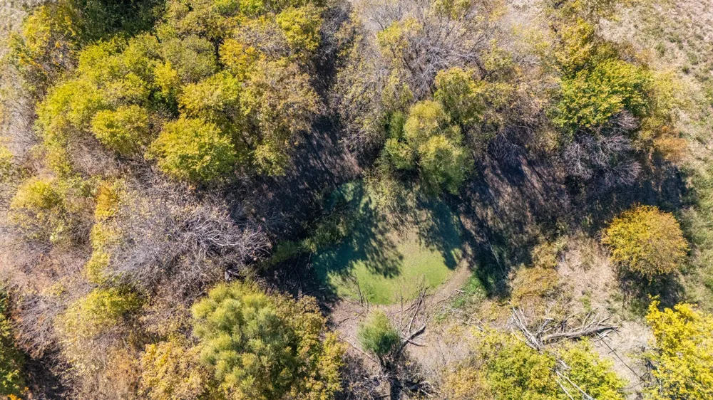 CR 3140 Pecan Gap, TX 75469