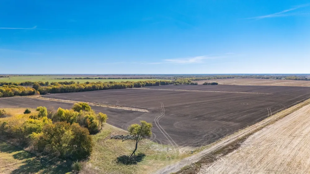 CR 3140 Pecan Gap, TX 75469