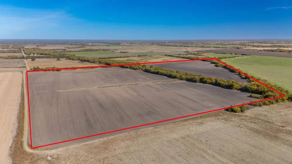 CR 3140 Pecan Gap, TX 75469