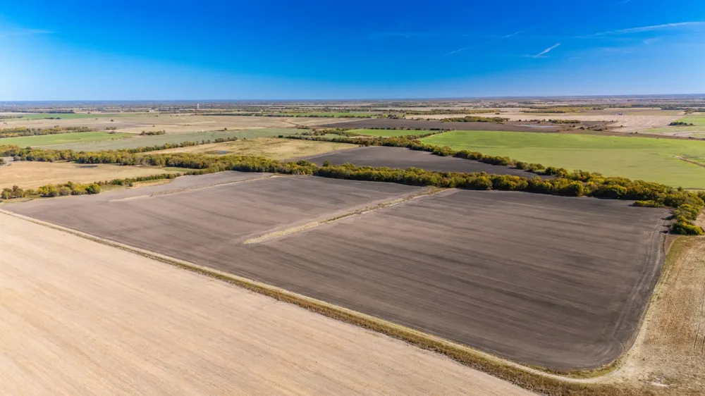 CR 3140 Pecan Gap, TX 75469