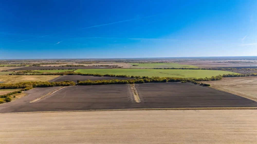 CR 3140 Pecan Gap, TX 75469
