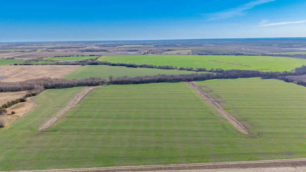 CR 3140 Pecan Gap, TX 75469
