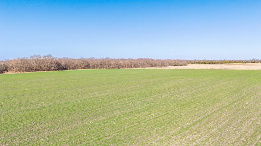 CR 3140 Pecan Gap, TX 75469