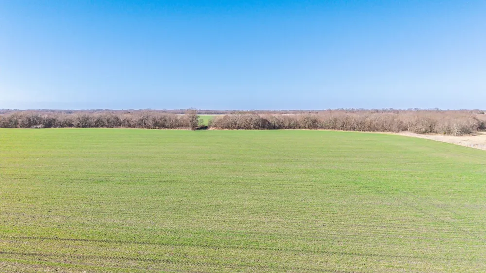 CR 3140 Pecan Gap, TX 75469