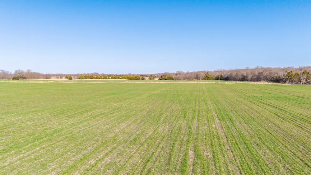 CR 3140 Pecan Gap, TX 75469
