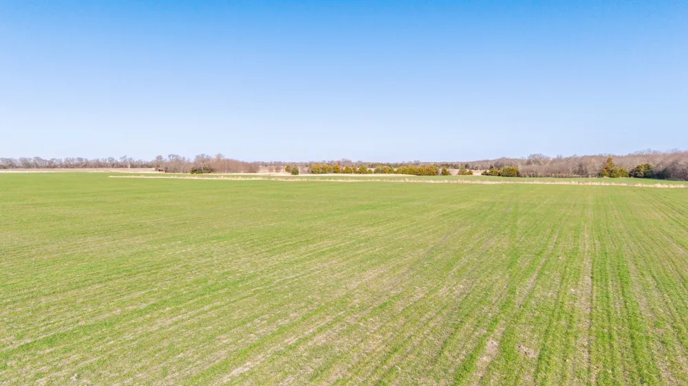 CR 3140 Pecan Gap, TX 75469