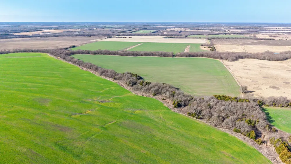CR 3140 Pecan Gap, TX 75469