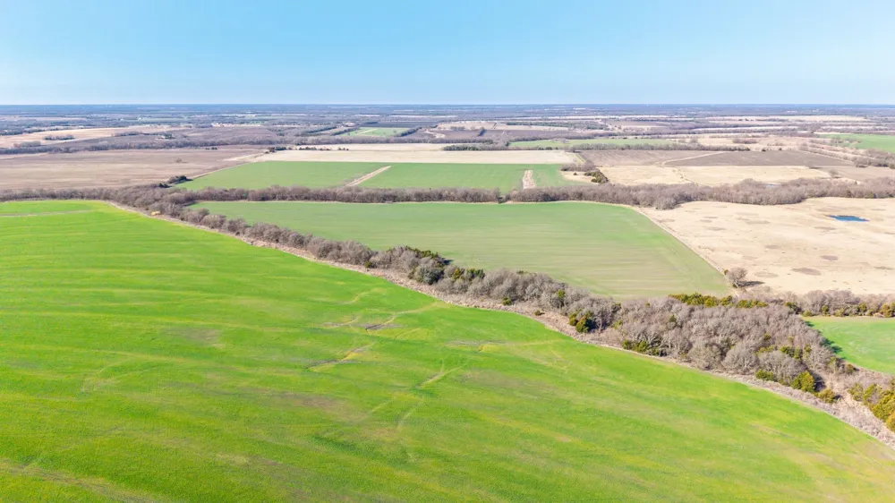 CR 3140 Pecan Gap, TX 75469