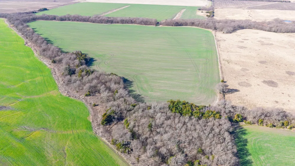 CR 3140 Pecan Gap, TX 75469
