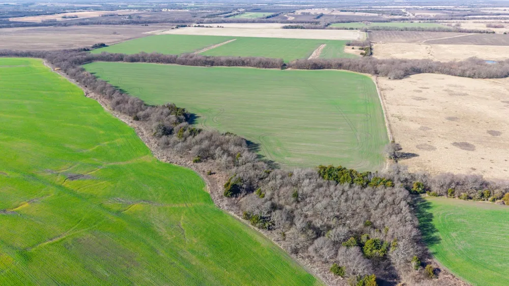 CR 3140 Pecan Gap, TX 75469