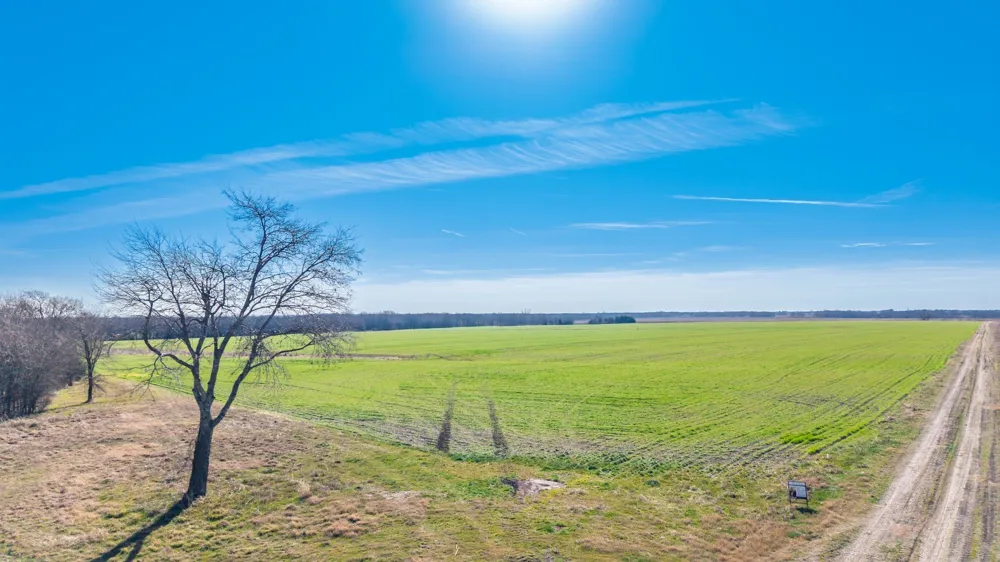 CR 3140 Pecan Gap, TX 75469