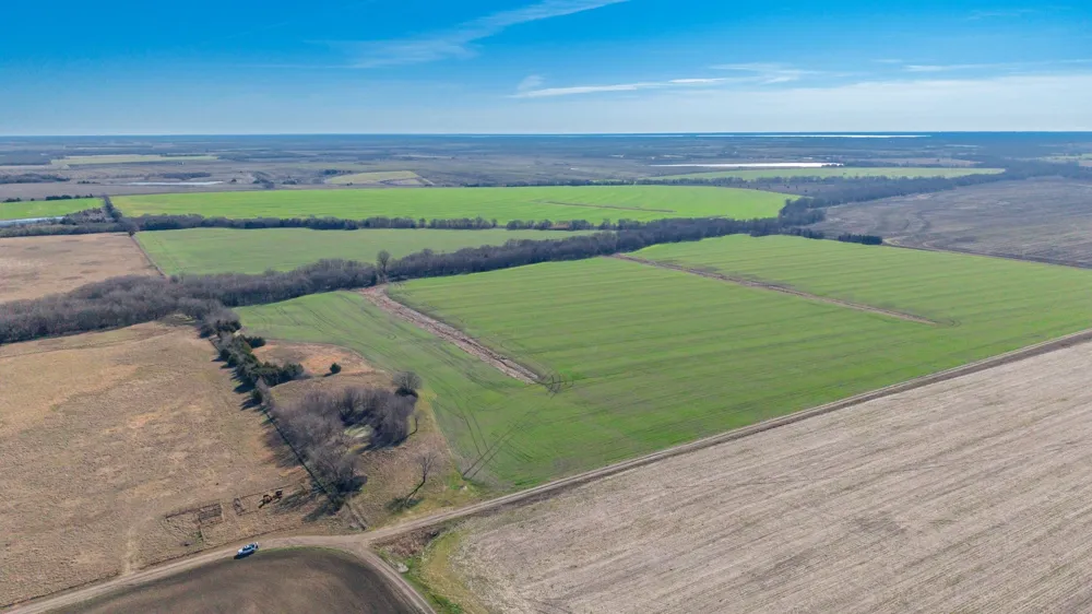 CR 3140 Pecan Gap, TX 75469