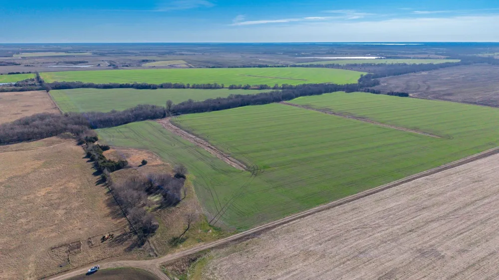 CR 3140 Pecan Gap, TX 75469