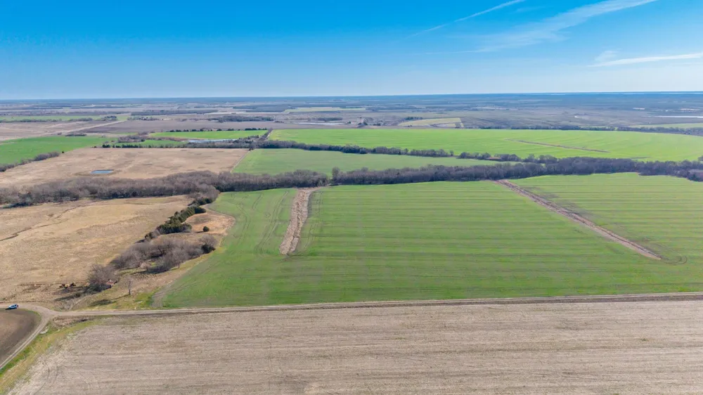 CR 3140 Pecan Gap, TX 75469