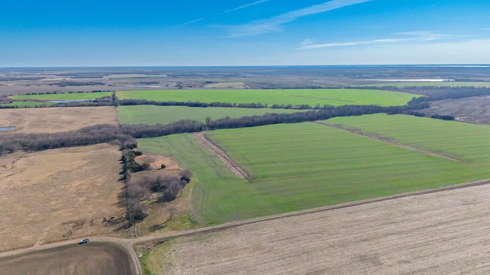 CR 3140 Pecan Gap, TX 75469