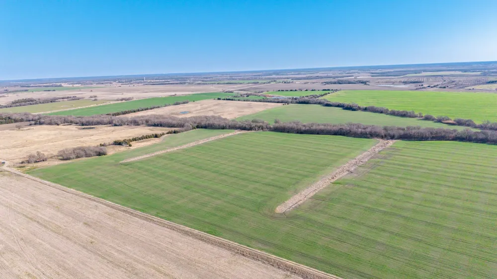 CR 3140 Pecan Gap, TX 75469