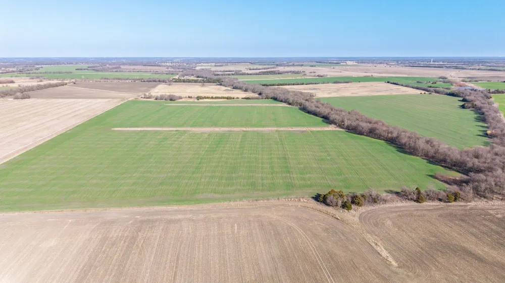 CR 3140 Pecan Gap, TX 75469