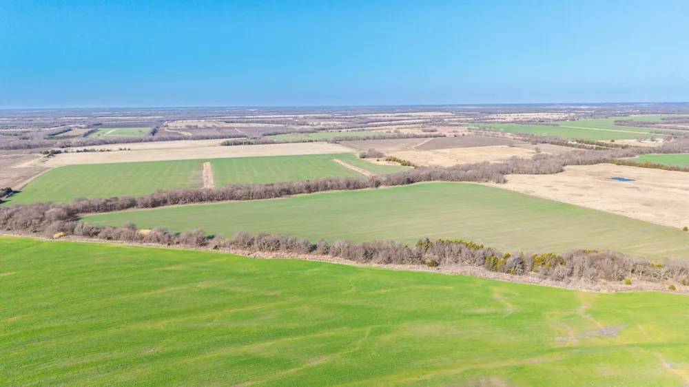 CR 3140 Pecan Gap, TX 75469
