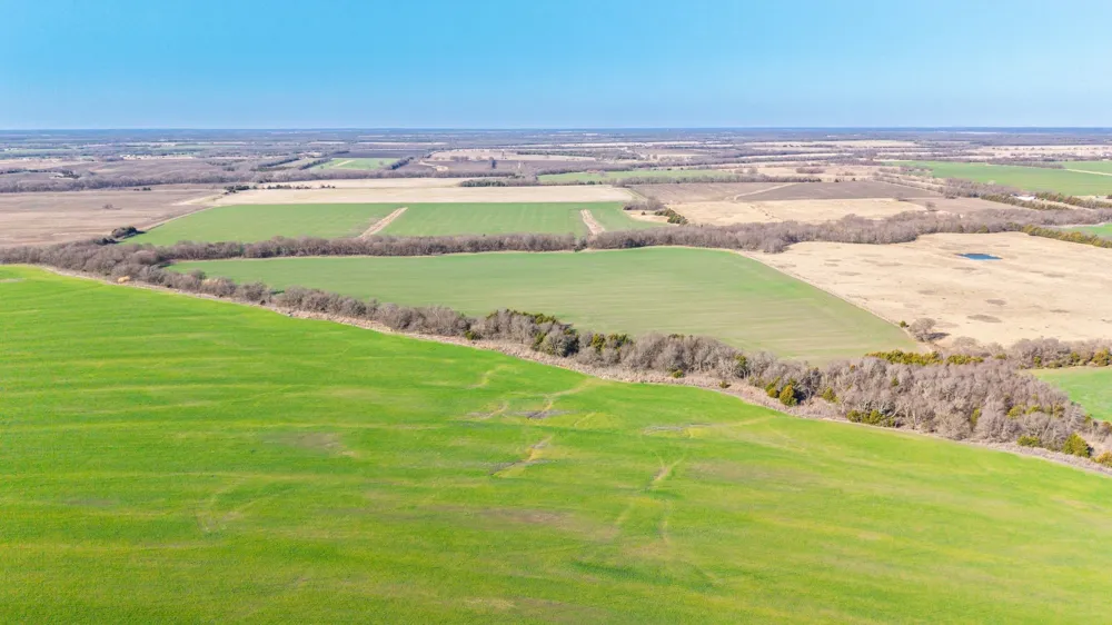 CR 3140 Pecan Gap, TX 75469