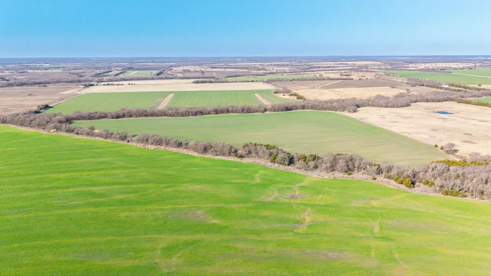 CR 3140 Pecan Gap, TX 75469