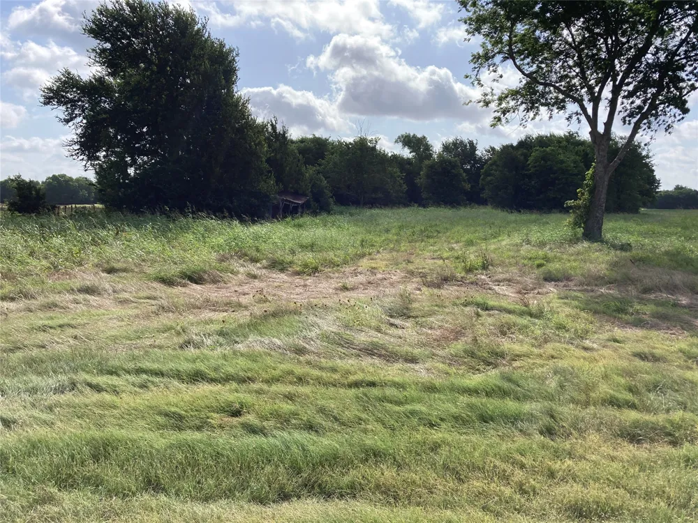 CR 3140 Pecan Gap, TX 75469