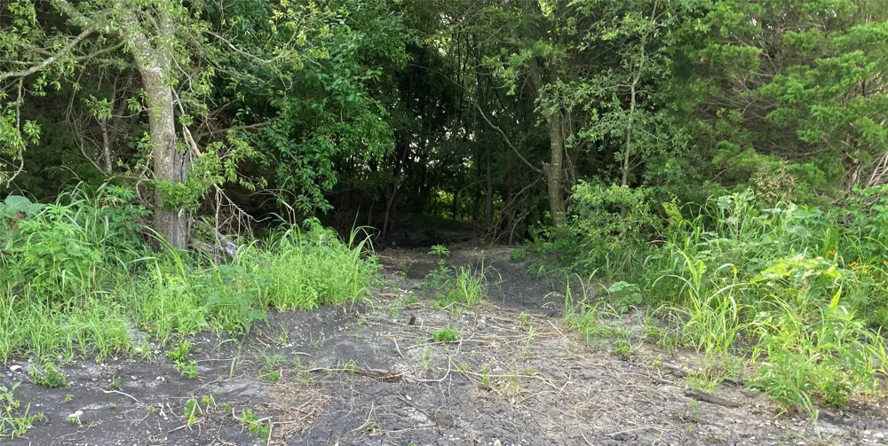 CR 3140 Pecan Gap, TX 75469