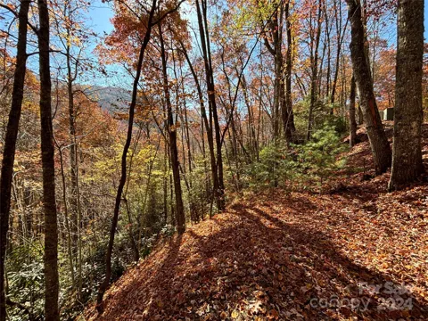 Lot 33 Coppermine Ridge #33