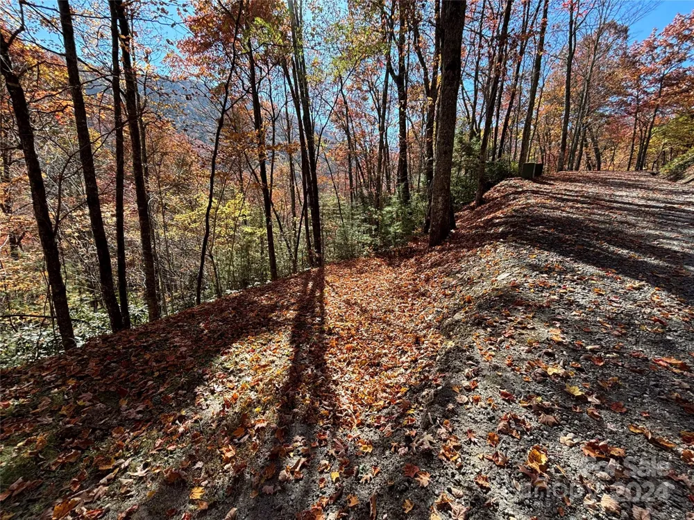 Lot 33 Coppermine Ridge #33 Whittier, NC 28789