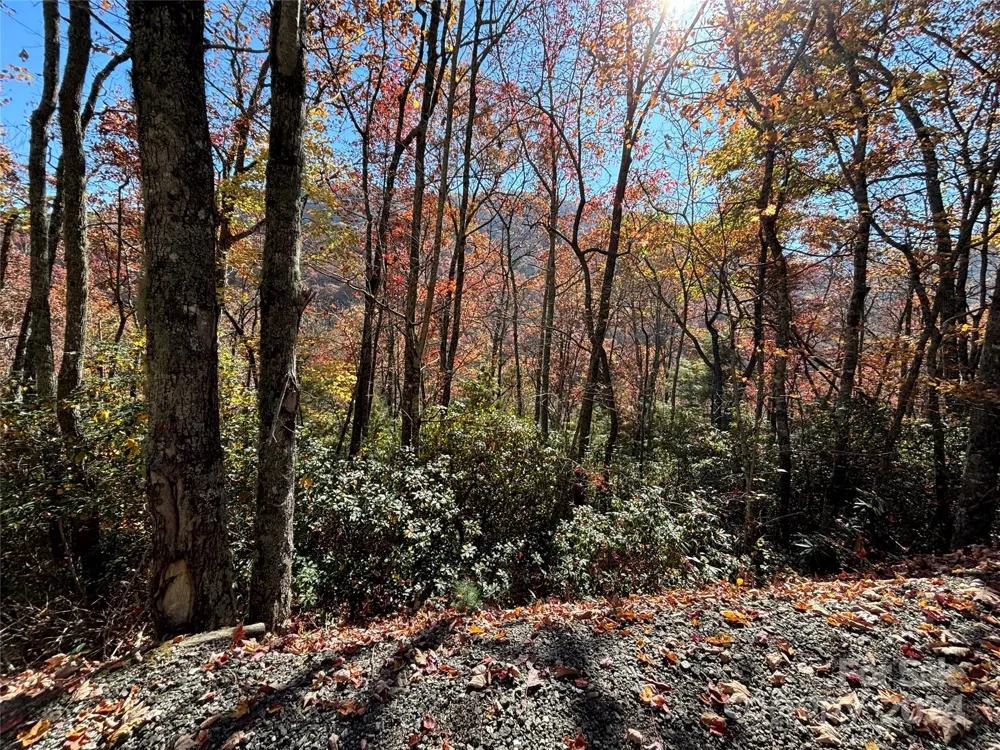 Lot 33 Coppermine Ridge #33 Whittier, NC 28789