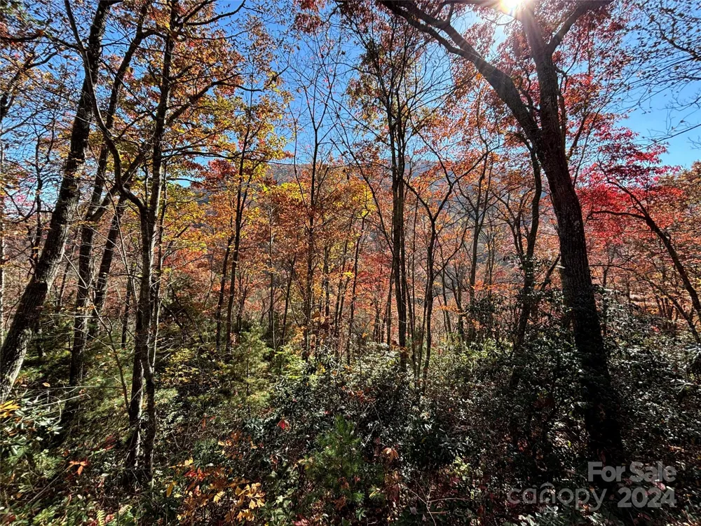 Lot 33 Coppermine Ridge #33 Whittier, NC 28789
