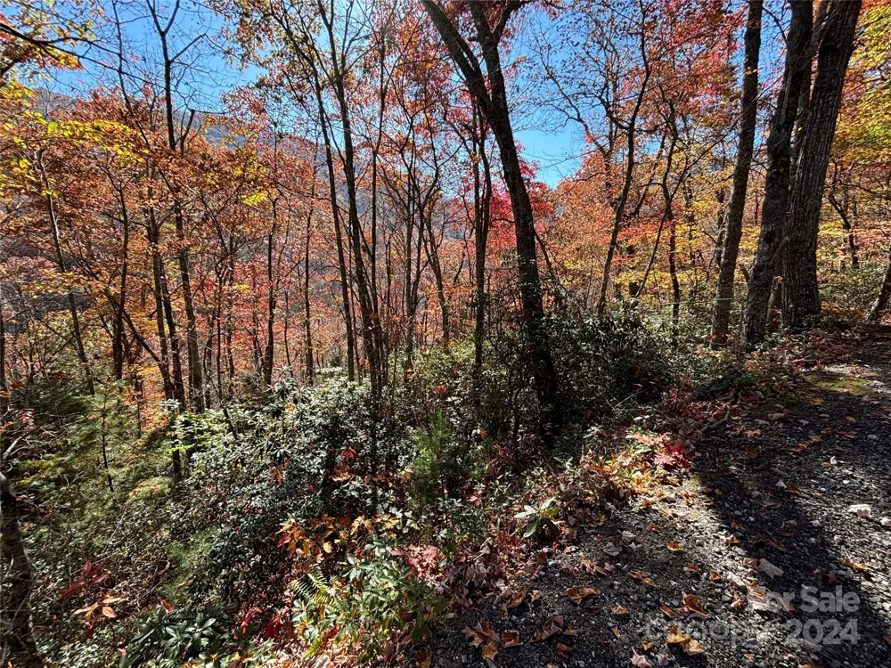 Lot 33 Coppermine Ridge #33 Whittier, NC 28789