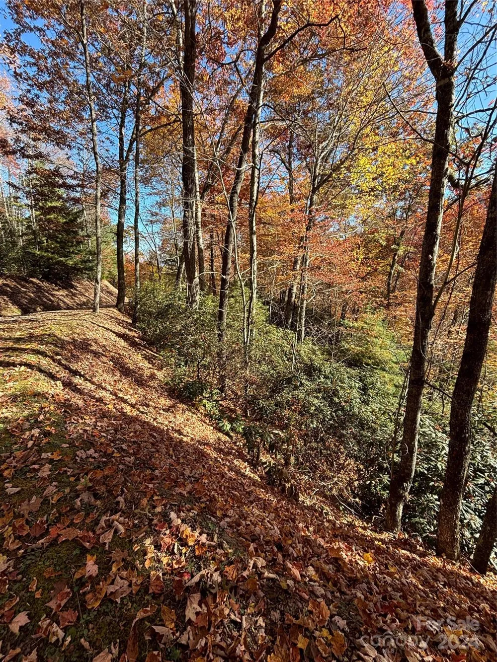 Lot 33 Coppermine Ridge #33 Whittier, NC 28789