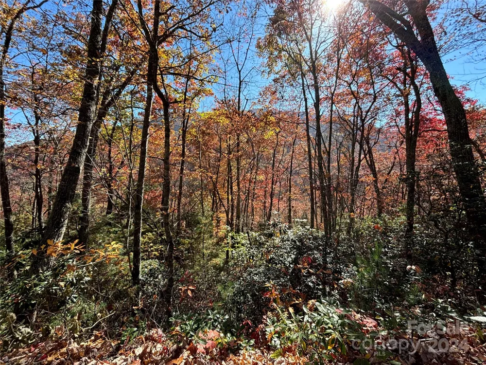 Lot 33 Coppermine Ridge #33 Whittier, NC 28789