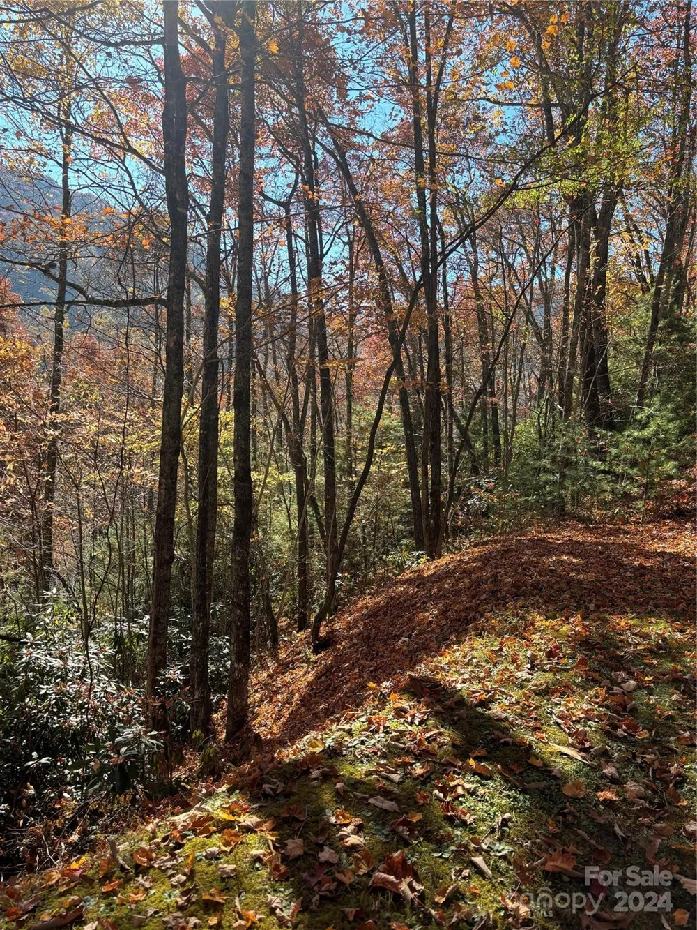 Lot 33 Coppermine Ridge #33 Whittier, NC 28789