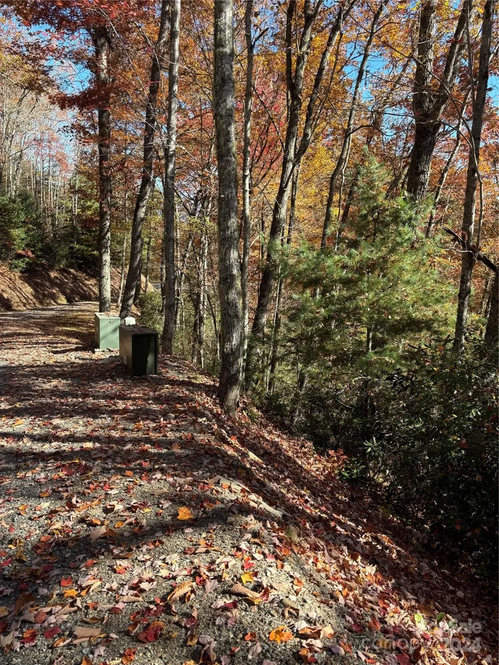 Lot 33 Coppermine Ridge #33 Whittier, NC 28789