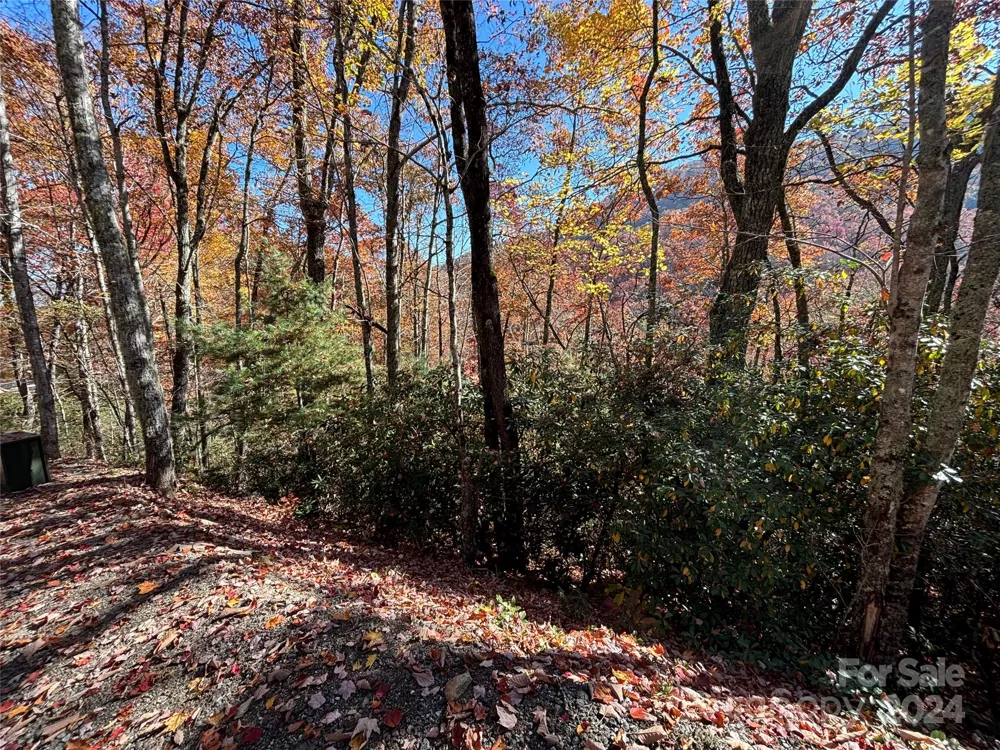 Lot 33 Coppermine Ridge #33 Whittier, NC 28789
