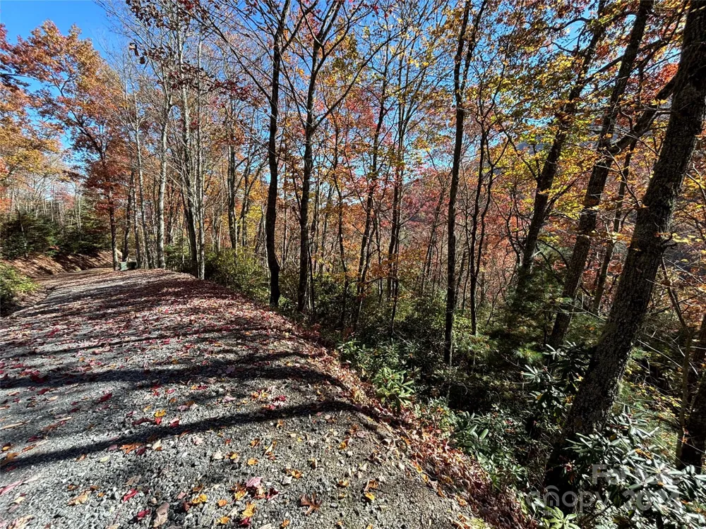 Lot 33 Coppermine Ridge #33 Whittier, NC 28789