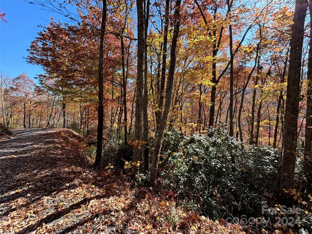 Lot 33 Coppermine Ridge #33 Whittier, NC 28789