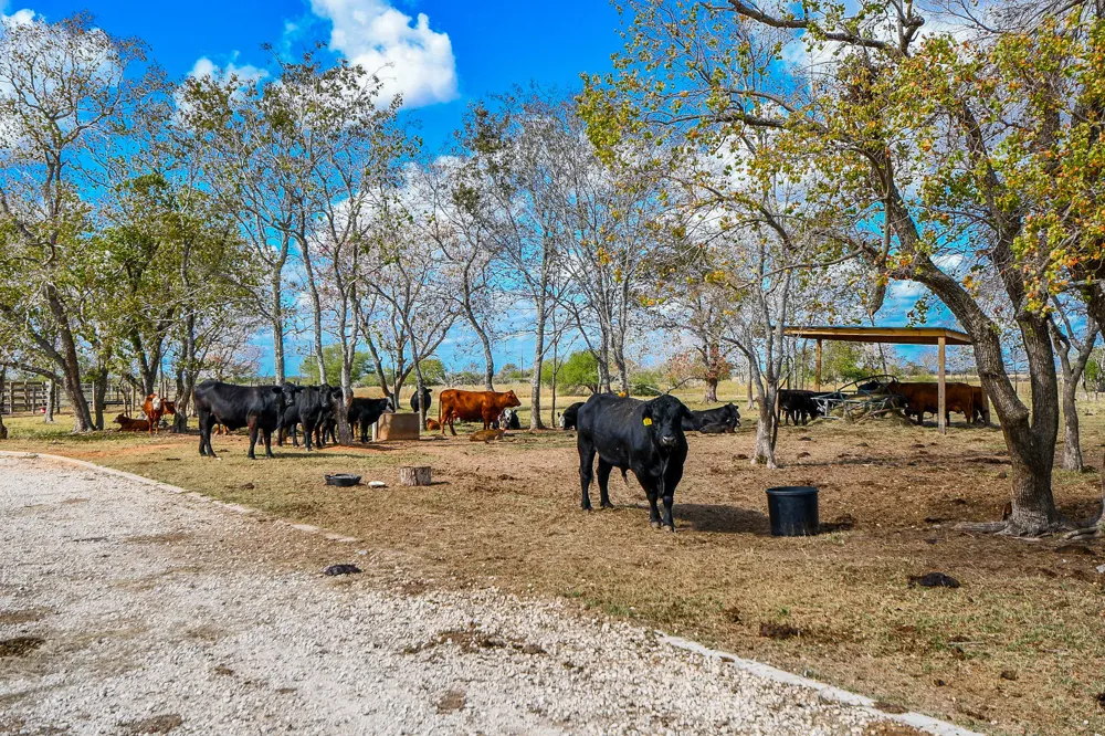 1093 Sunderman Road Alleyton, TX 78935