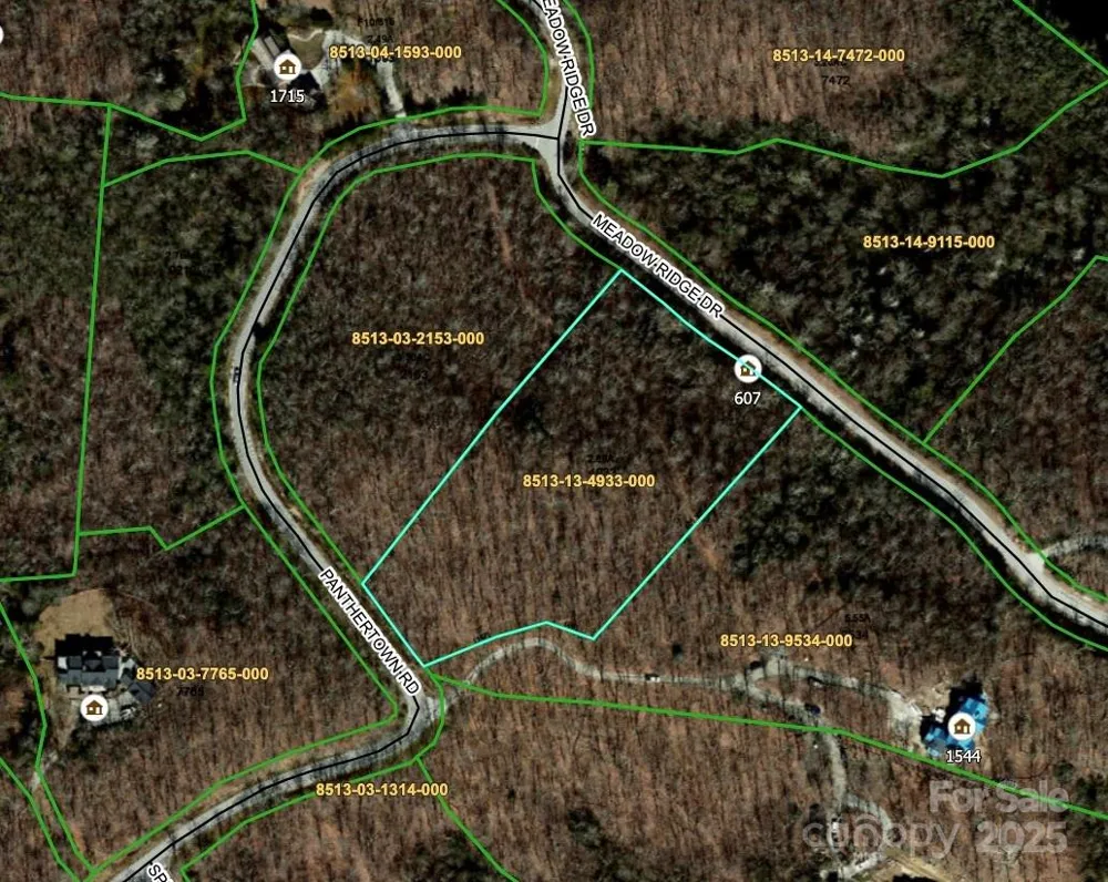 MR-37R Panthertown Road Lake Toxaway, NC 28747