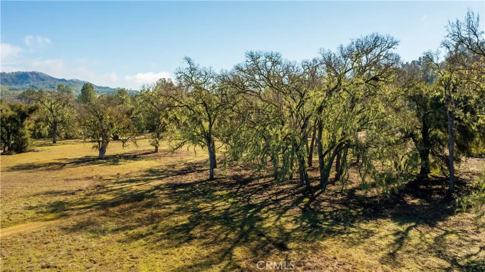 Lynch Canyon Road Bradley, CA 93426
