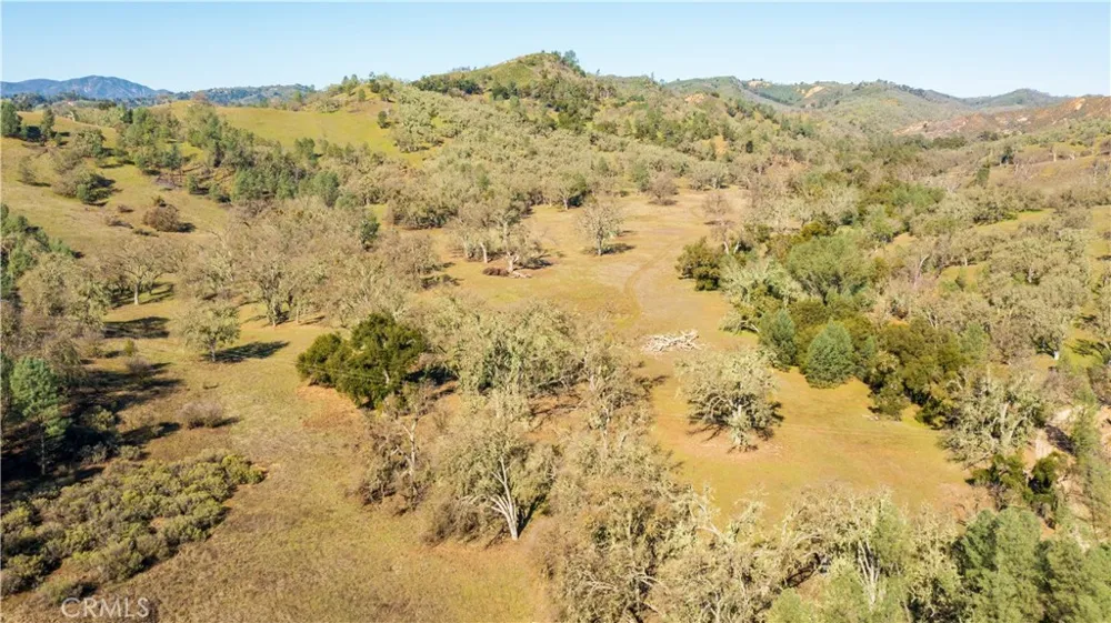 Lynch Canyon Road Bradley, CA 93426