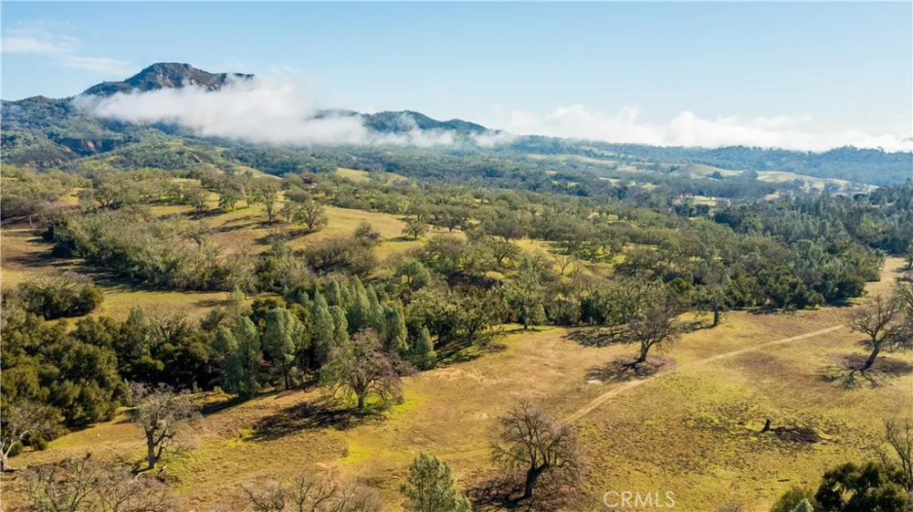 Lynch Canyon Road Bradley, CA 93426