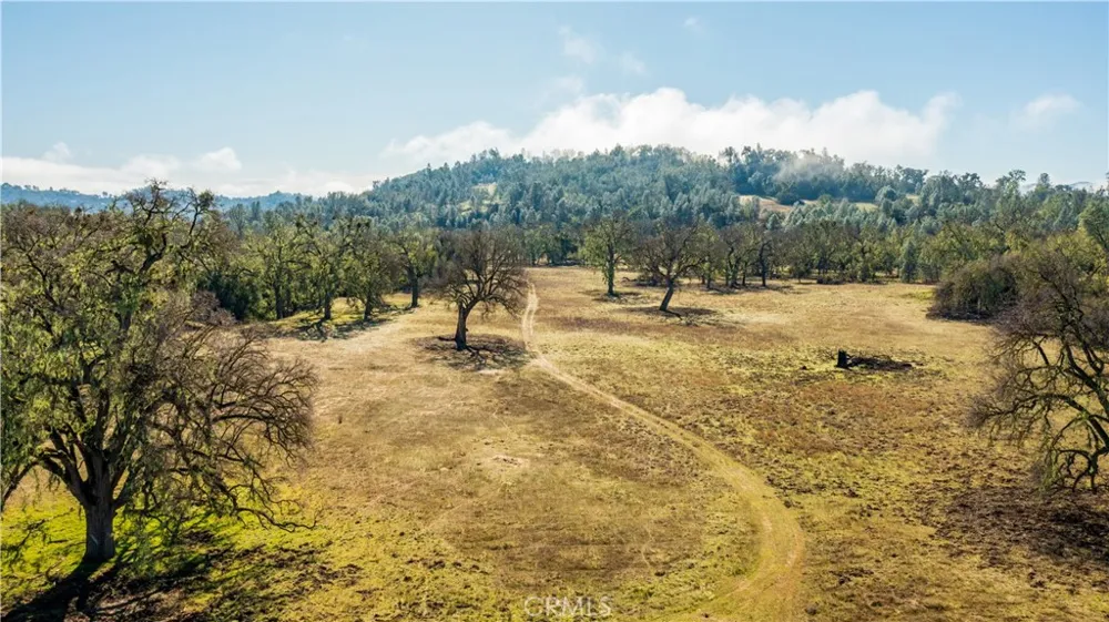 Lynch Canyon Road Bradley, CA 93426