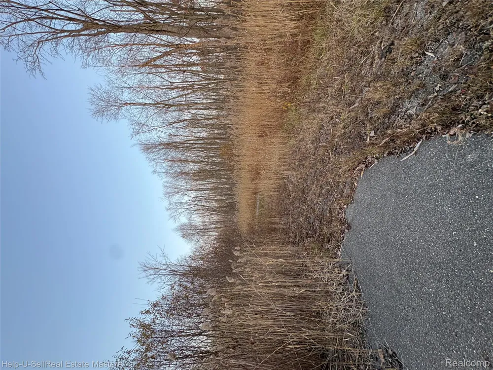 Metcalf Road Burtchville Township, MI 48059