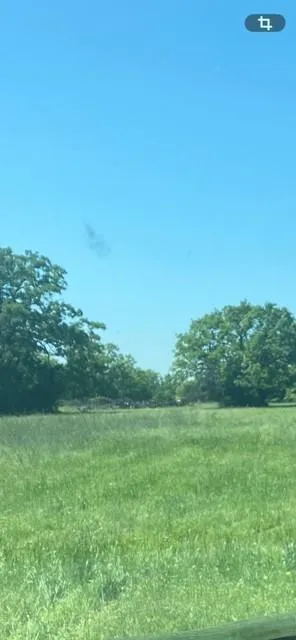 21174 Harrison Drive Bedias, TX 77831