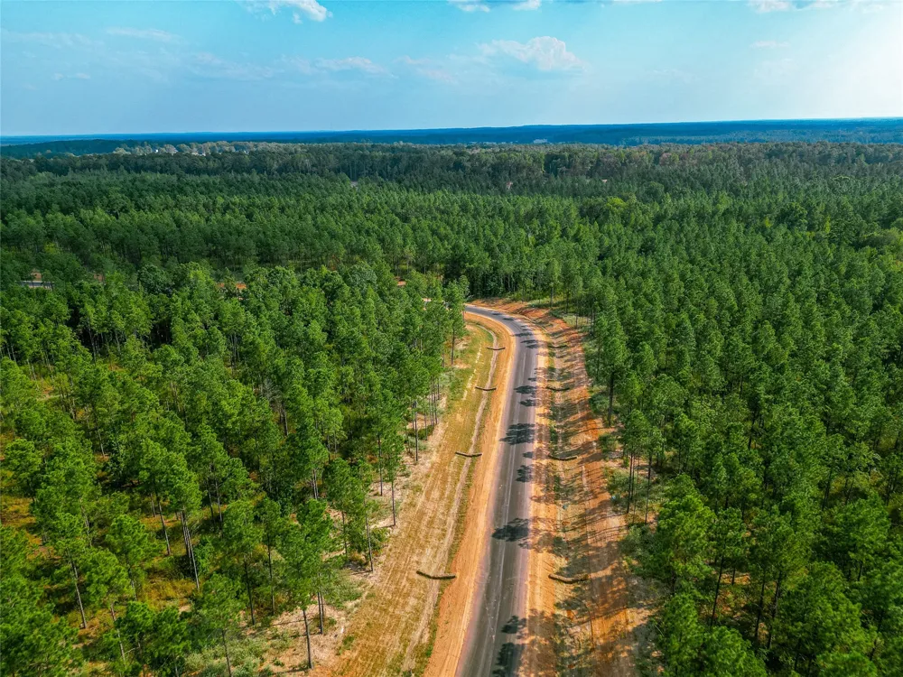 233 Millwood Loop #17 Minden, LA 71055
