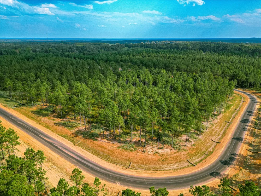 233 Millwood Loop #17 Minden, LA 71055